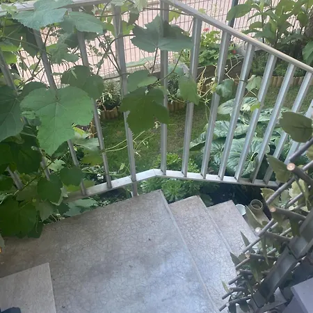 Vannina * Μπαστιά